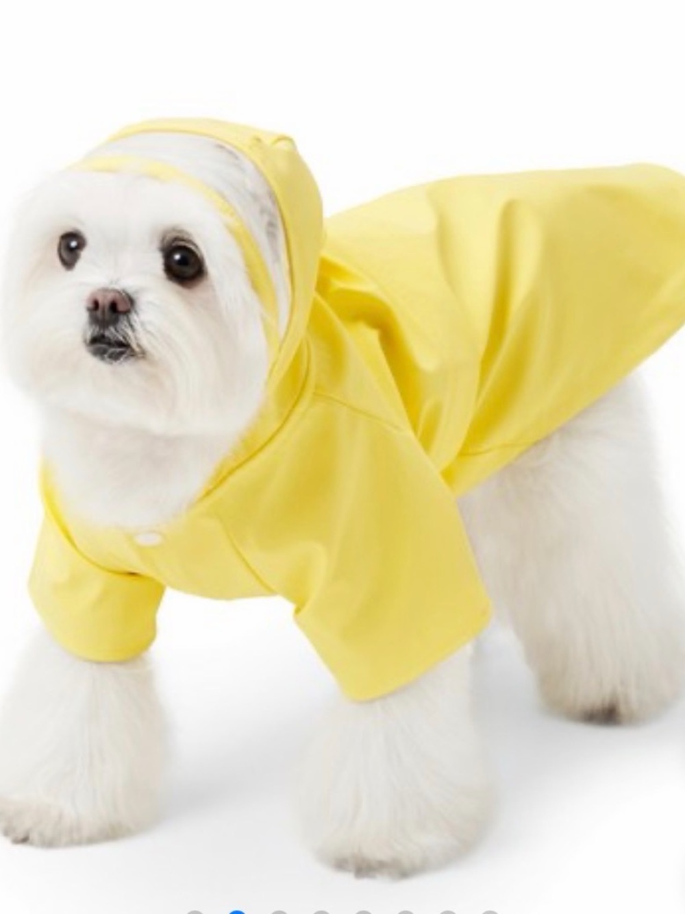 Bright Yellow Hooded Dog Raincoat